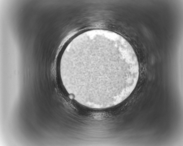 X0000103960200200810031211
