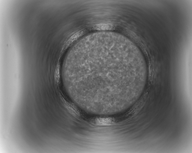 X0000103960202200810031211