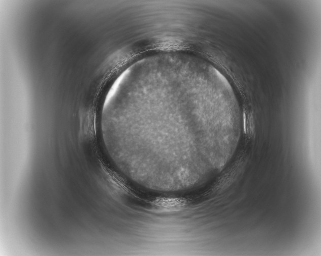 X0000103960205200810031211