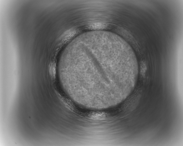 X0000103960206200810031211