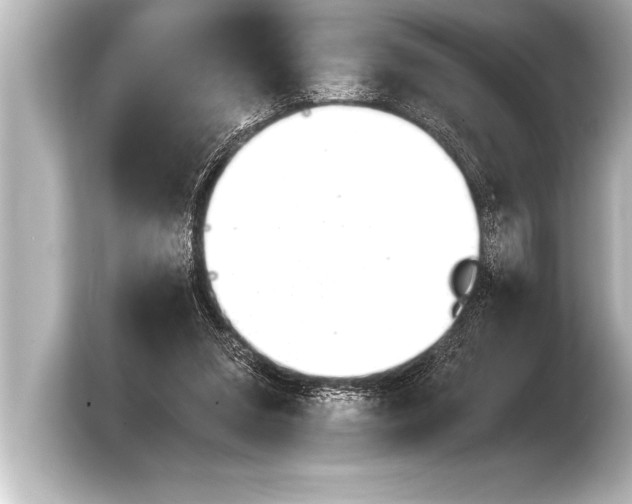 X0000103960207200810031211