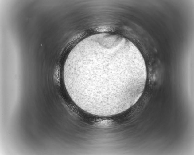 X0000103960210200810031211
