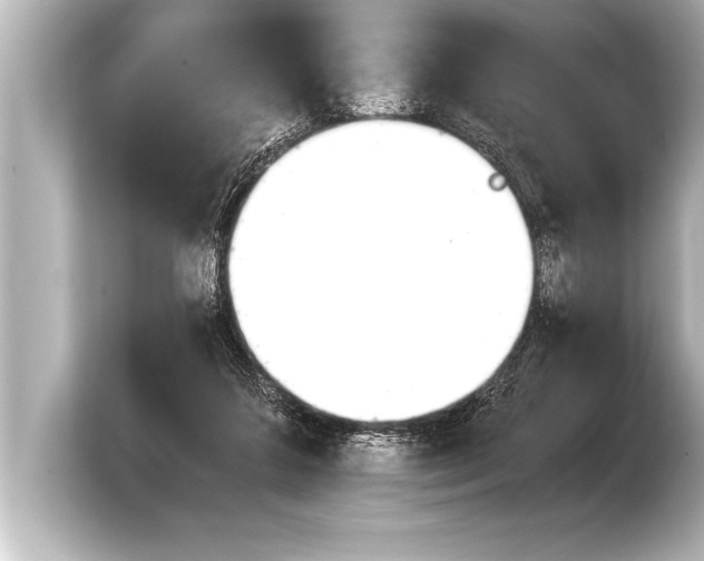 X0000103960211200810031211
