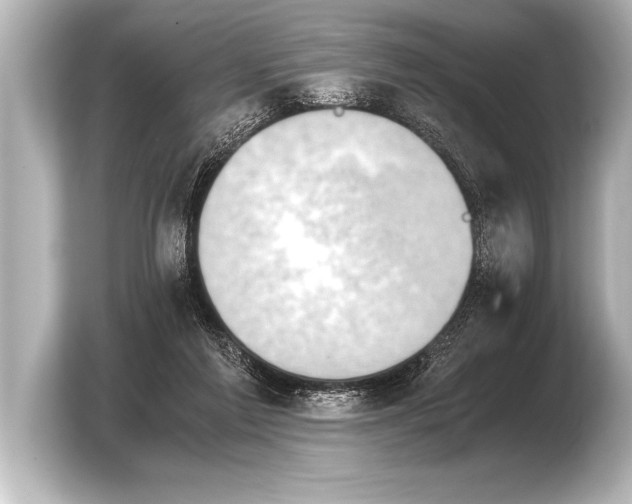 X0000103960213200810031211