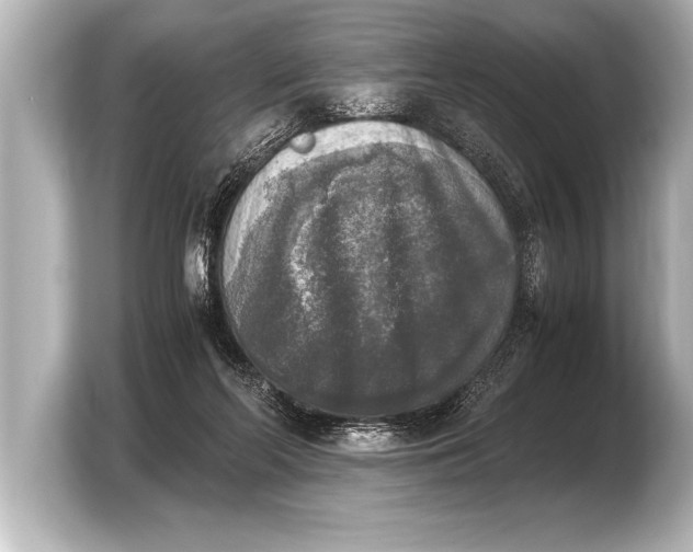 X0000103960214200810031211