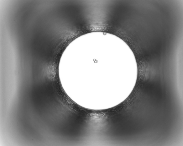 X0000103960215200810031211