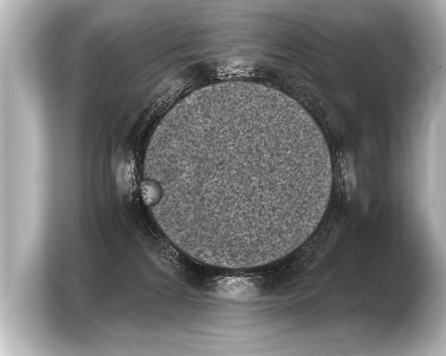 X0000103960224200810031210