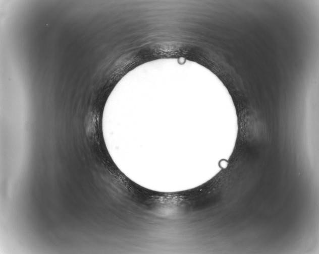 X0000103960225200810031210