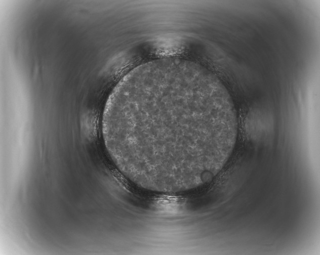 X0000103960227200810031210