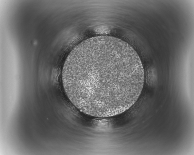 X0000103960229200810031210