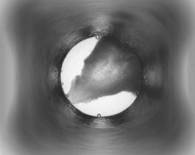 X0000103960231200810031210