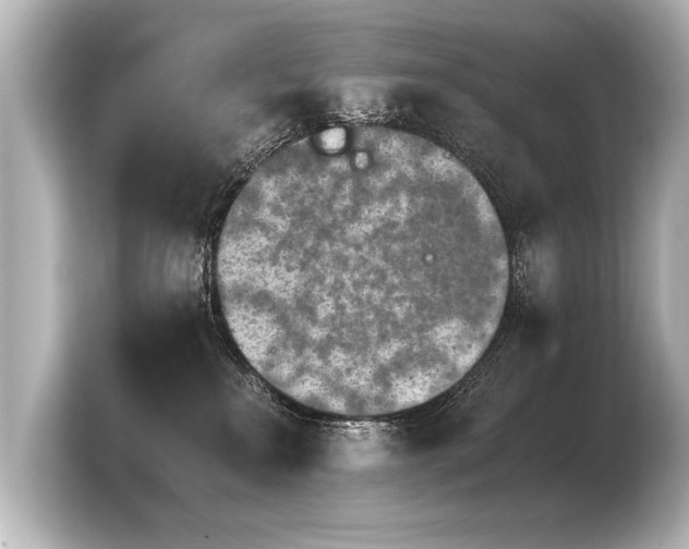 X0000103960233200810031210