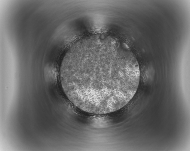 X0000103960235200810031210