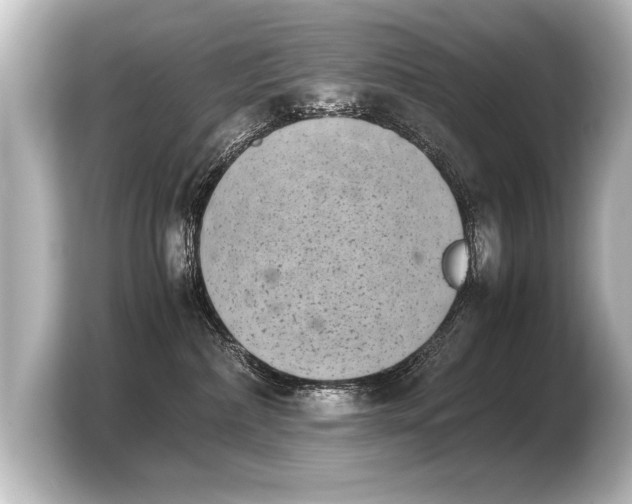 X0000103960236200810031210