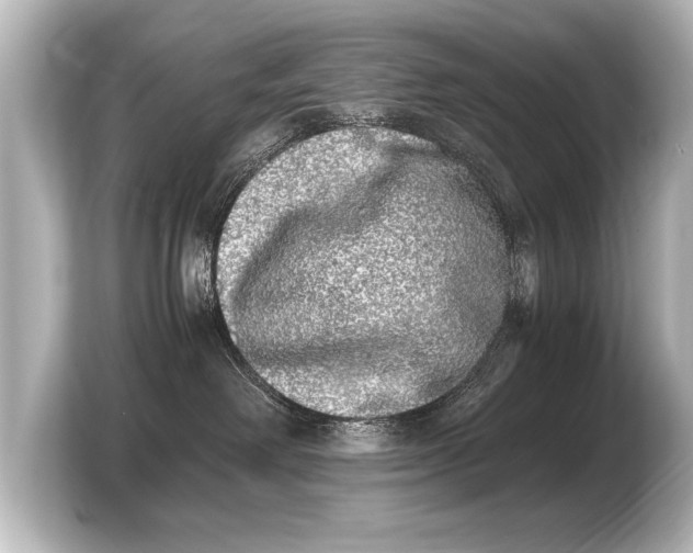 X0000103960238200810031210