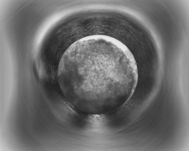 X0000103960239200810031210