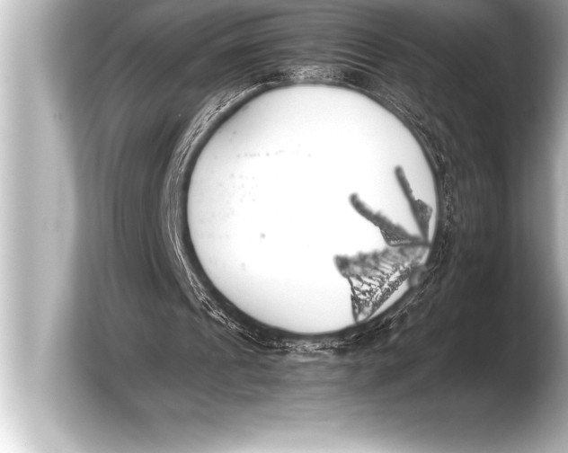 X0000103960241200810031210