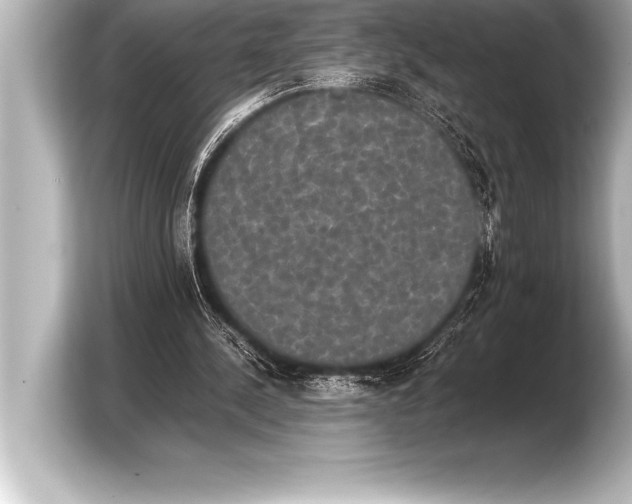 X0000103960244200810031210