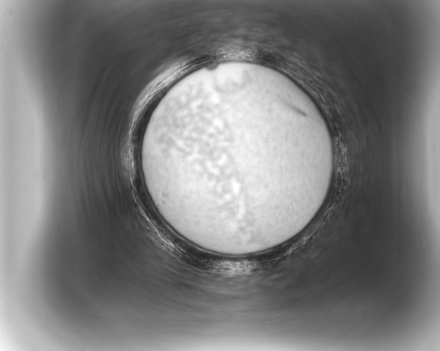 X0000103960245200810031210