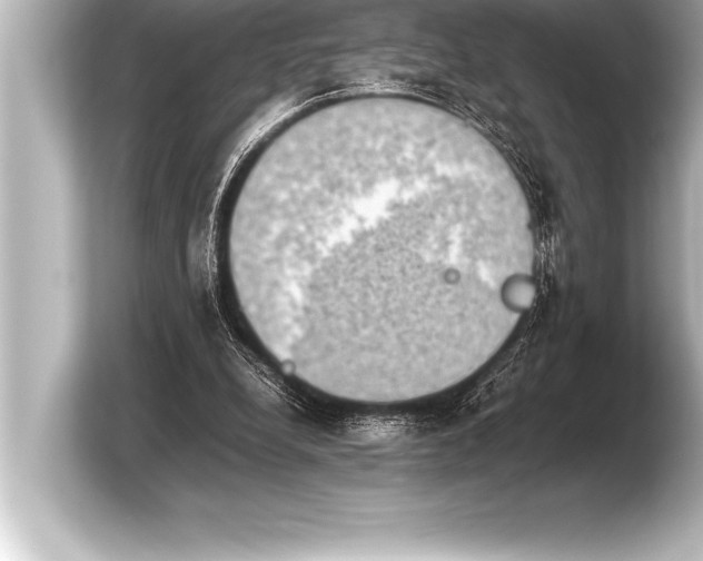 X0000103960248200810031210