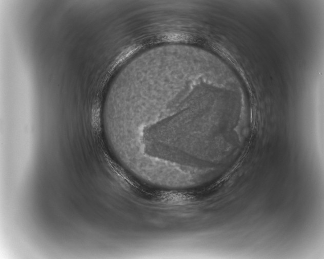 X0000103960249200810031210