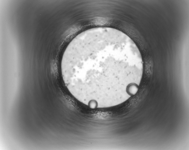 X0000103960256200810031210