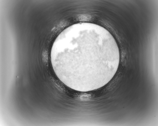X0000103960257200810031210