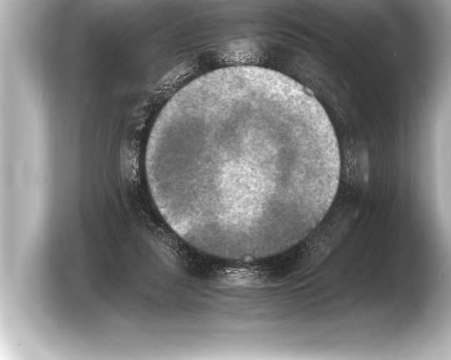 X0000103960259200810031210