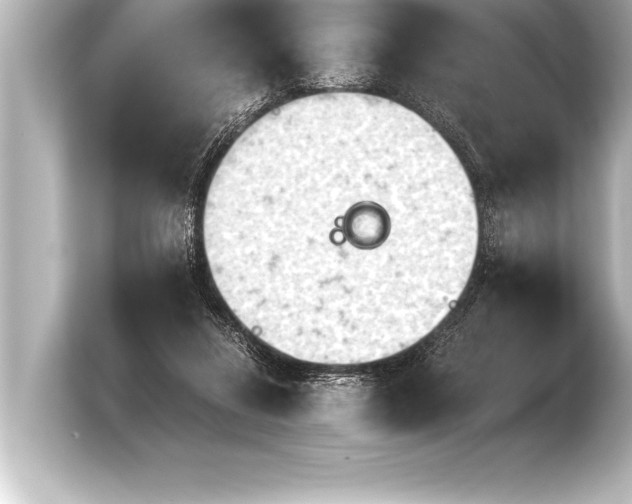 X0000103960260200810031210