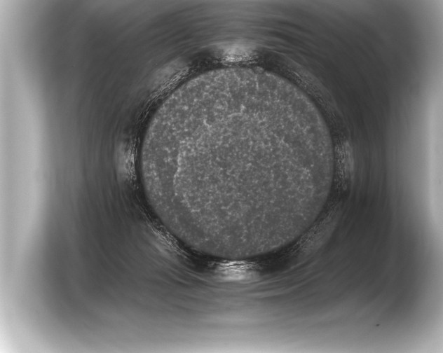 X0000103960269200810031210