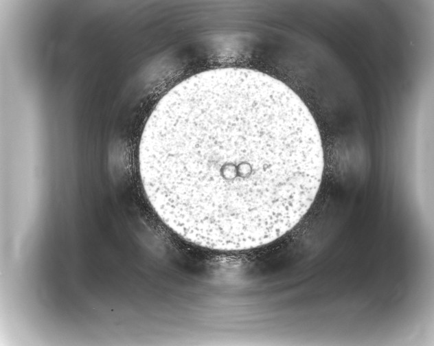 X0000103960272200810031210