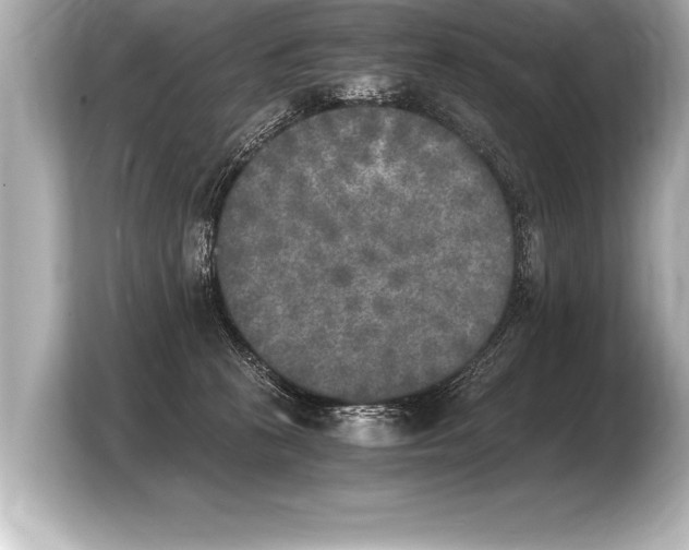 X0000103960273200810031210