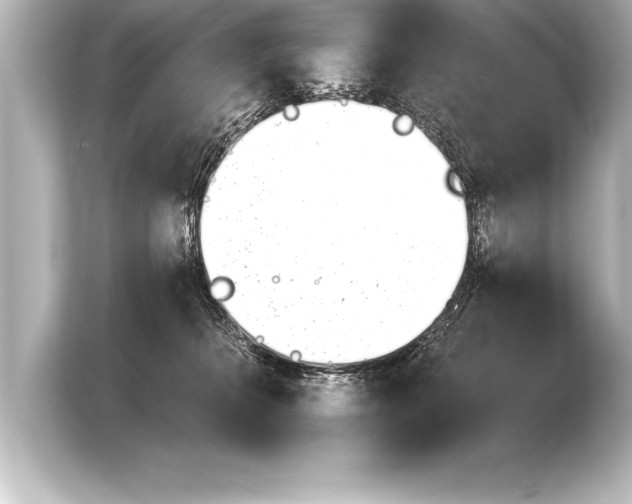 X0000103960276200810031210