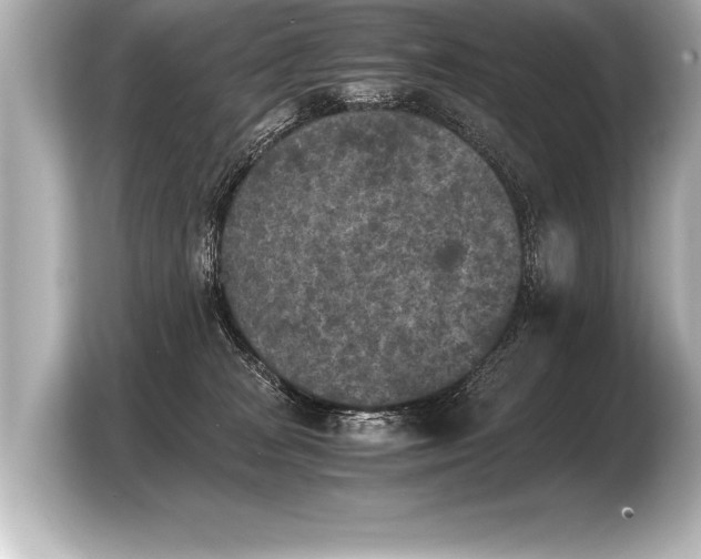 X0000103960277200810031210