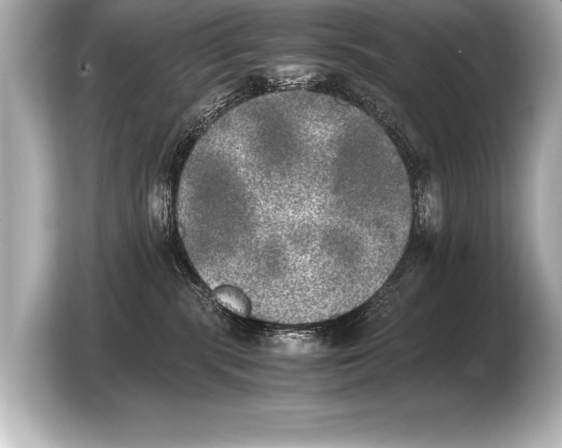 X0000103960283200810031210