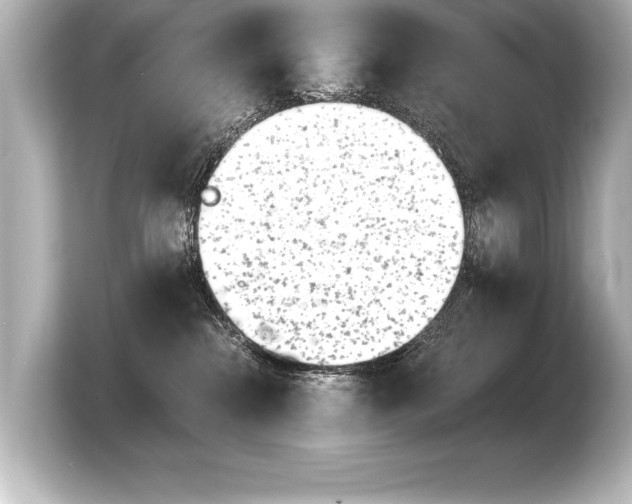 X0000103960284200810031210
