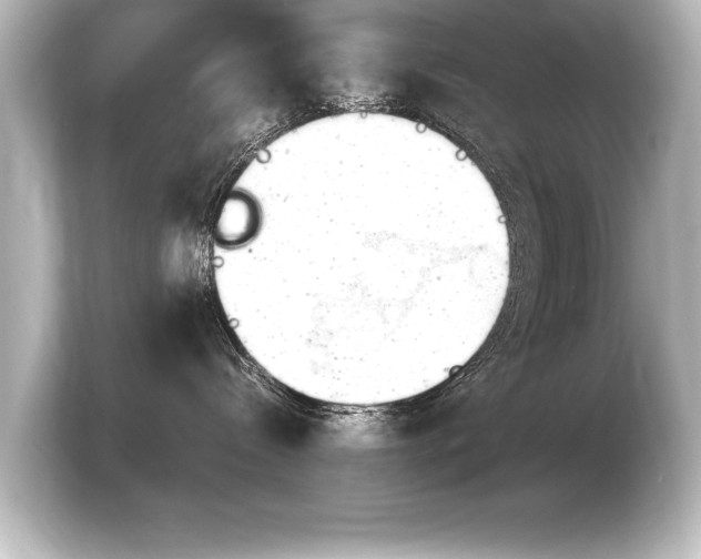 X0000103960288200810031210