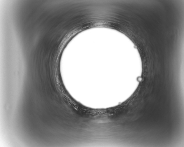 X0000103960289200810031210