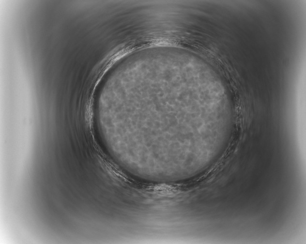 X0000103960290200810031210