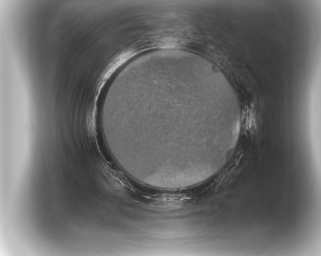 X0000103960292200810031210