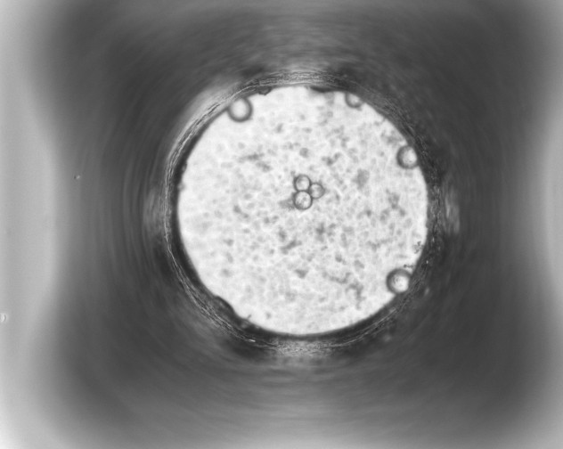 X0000103960293200810031210