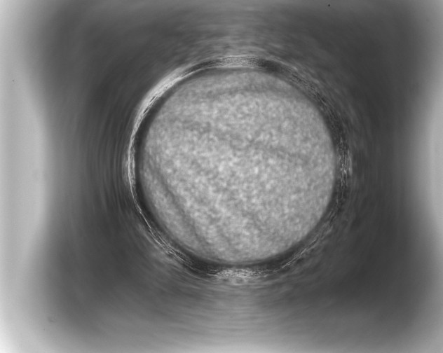 X0000103960294200810031210