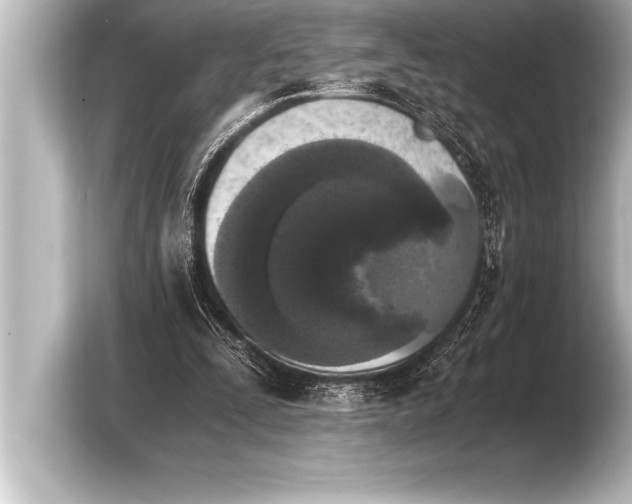 X0000103960295200810031210