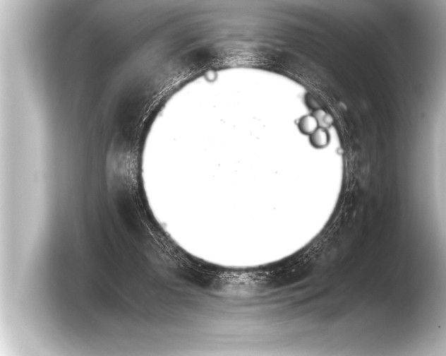 X0000103960297200810031210
