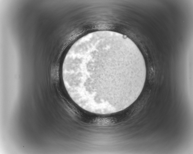 X0000103960299200810031210