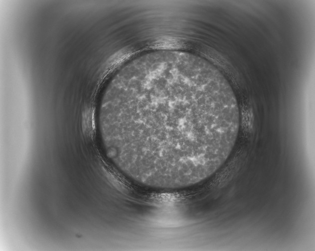 X0000103960302200810031209