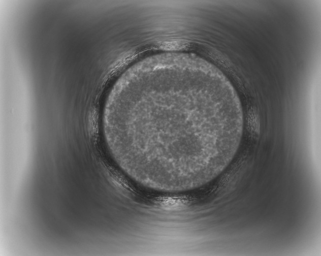 X0000103960303200810031209