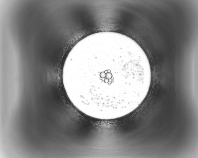 X0000103960305200810031209