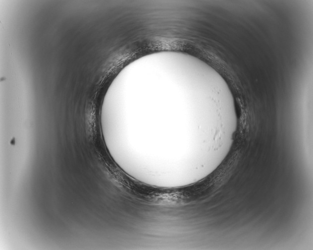 X0000103960306200810031209
