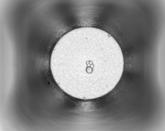 X0000103960309200810031209